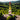 Glas 0,15L Monatswein Waßmer Jung & Wild